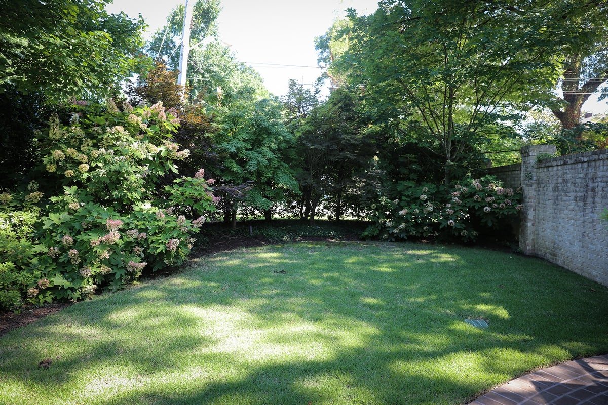 4 Questions to Ask When Planning Your Memphis Landscape Design